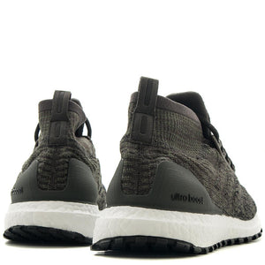 adidas Ultraboost All Terrain / Trace Cargo